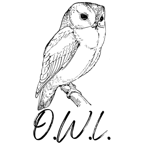 owl